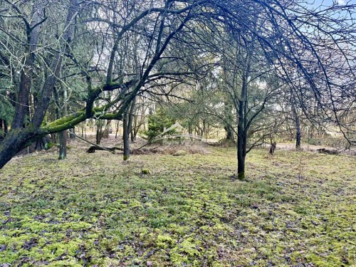 Prodej chalupy 150 m², pozemek 1733 m²