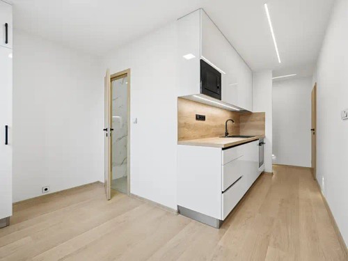 Prodaný  byt 3+1 63 m²