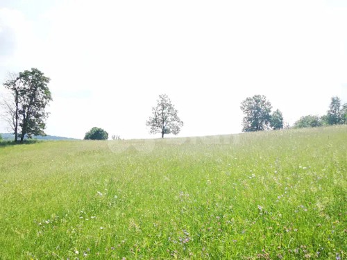 Prodej stavebního pozemku 1430 m²