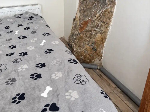 Prodej domu 183 m², pozemek 800 m²