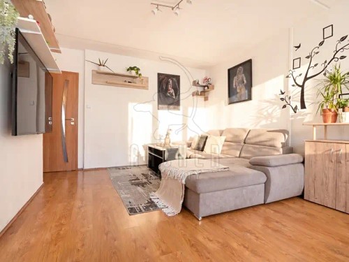 Prodej bytu 3+1 70 m²