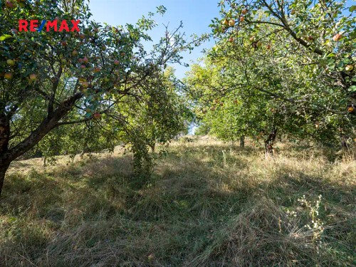 Prodej domu 210 m², pozemek 1497 m²