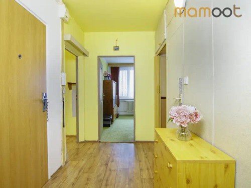 Prodaný byt 3+1 66 m²