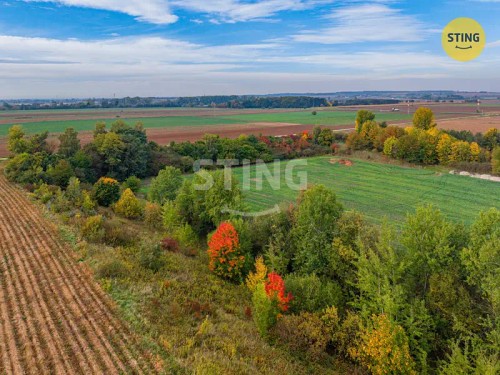Prodej stavebního pozemku 63998 m²