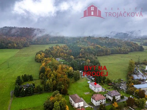Prodaný  byt 1+kk 36 m²