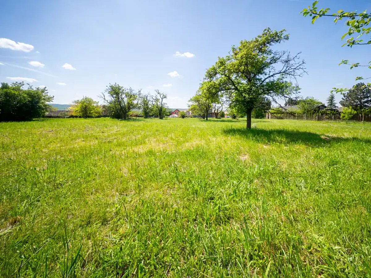 Bučovice, okres Vyškov – fotografie 2