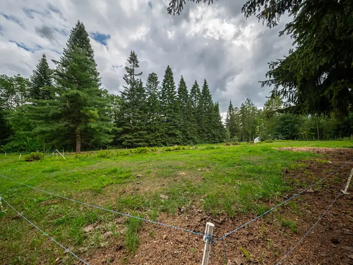 Kamenice nad Lipou, okres Pelhřimov – fotografie 3