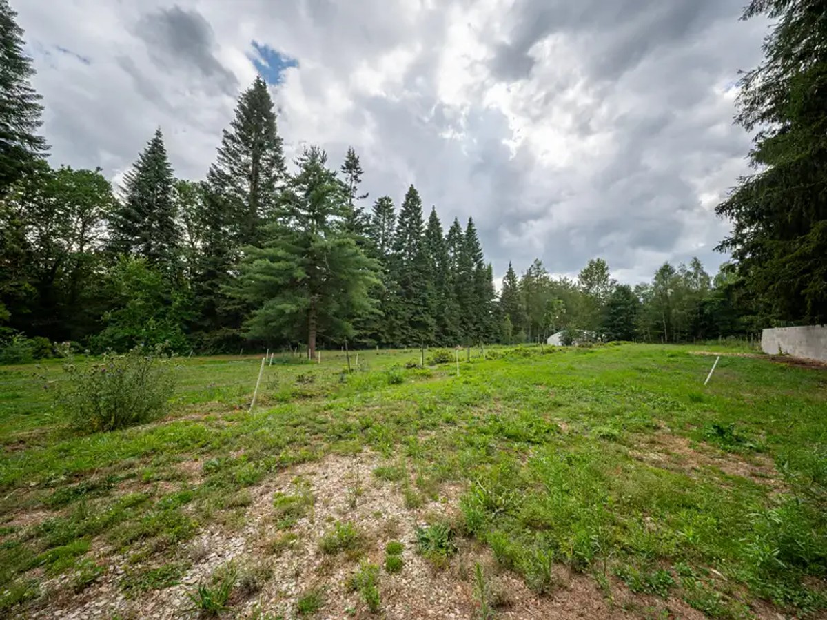 Kamenice nad Lipou, okres Pelhřimov – fotografie 4
