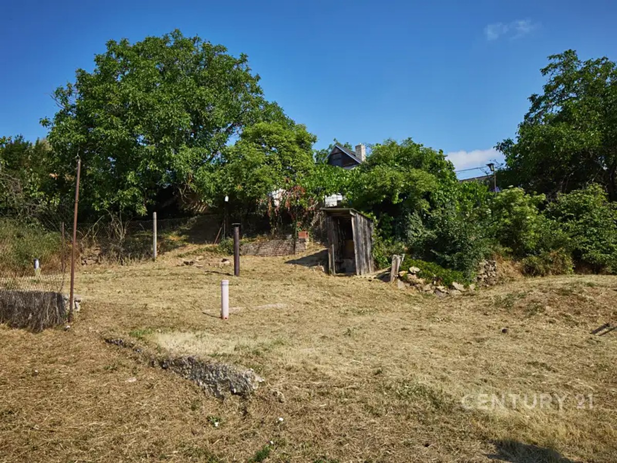 Ostatní