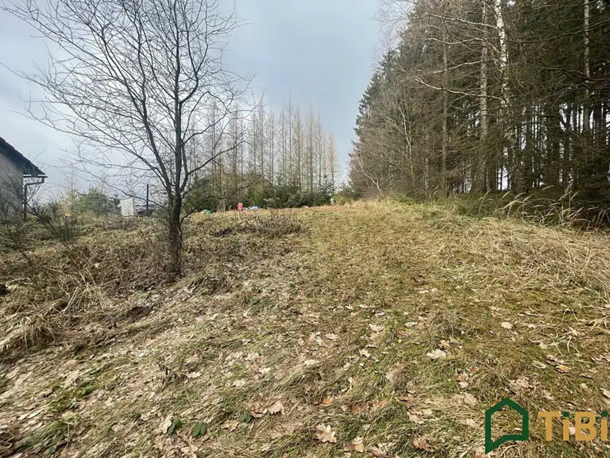 Gruna, okres Svitavy – fotografie 5