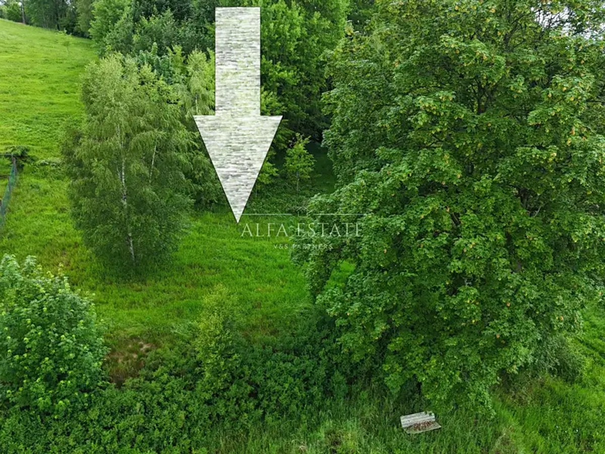 Horní, Oloví – fotografie 2