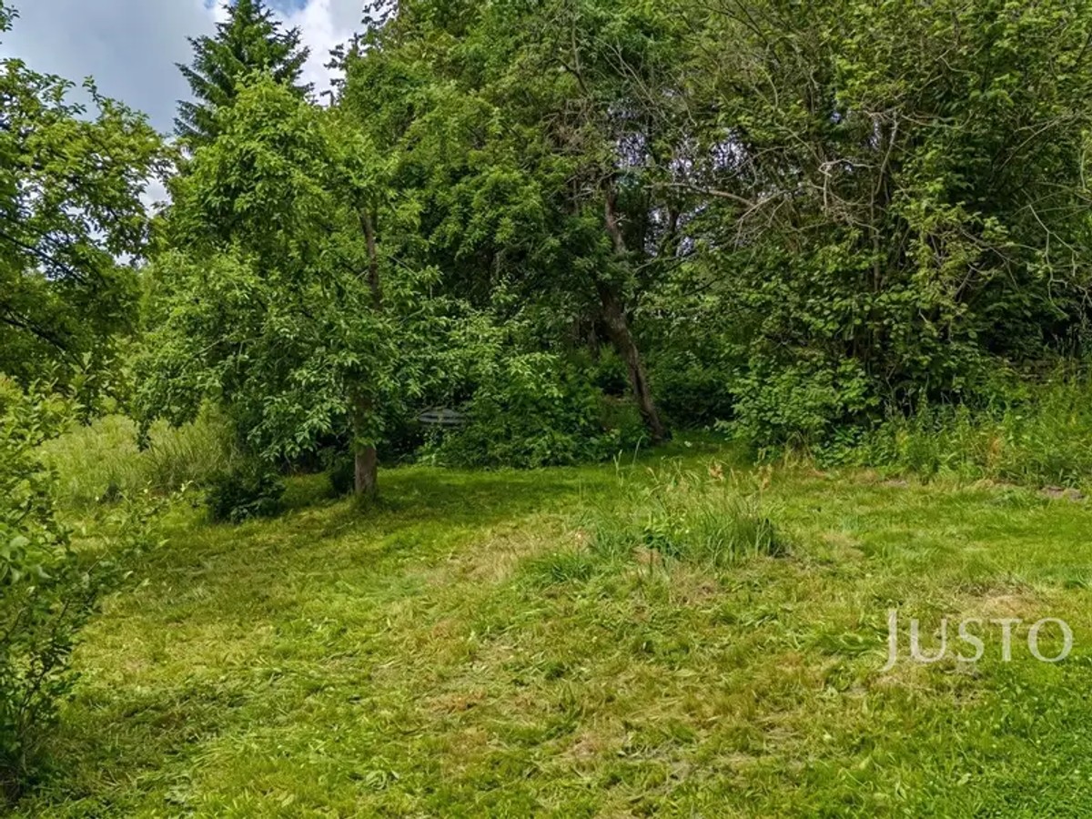 Železný Brod, okres Jablonec nad Nisou – fotografie 4