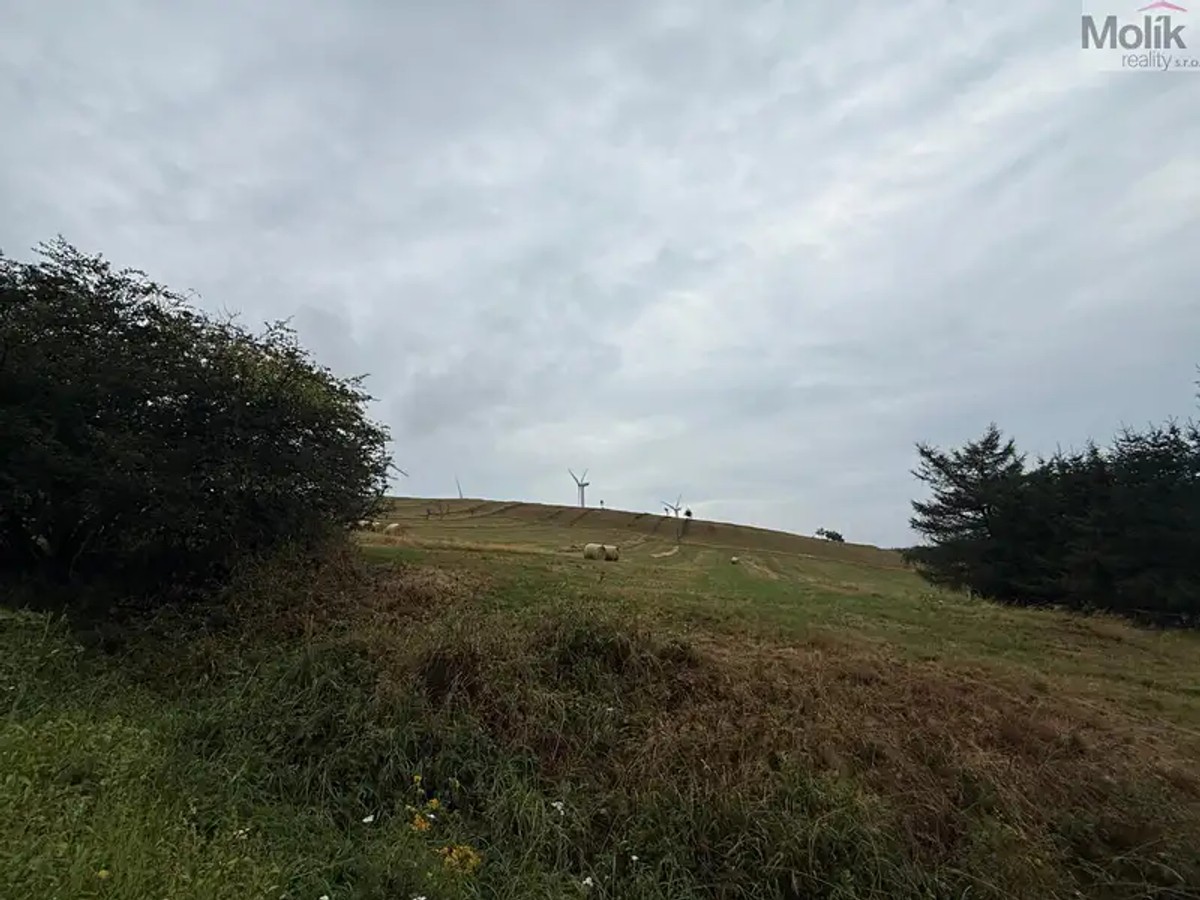 Nová Ves v Horách, okres Most – fotografie 5