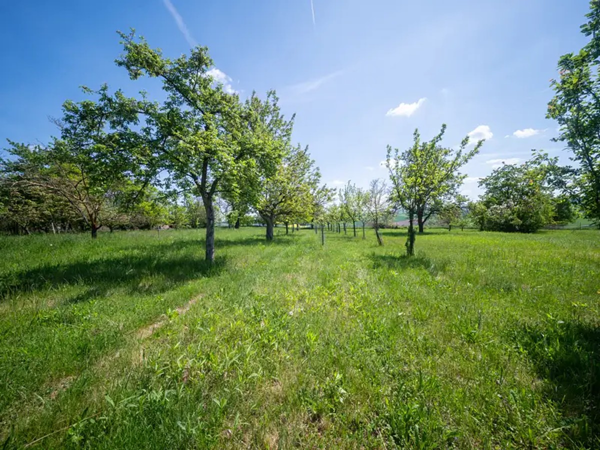 Bučovice, okres Vyškov – fotografie 4