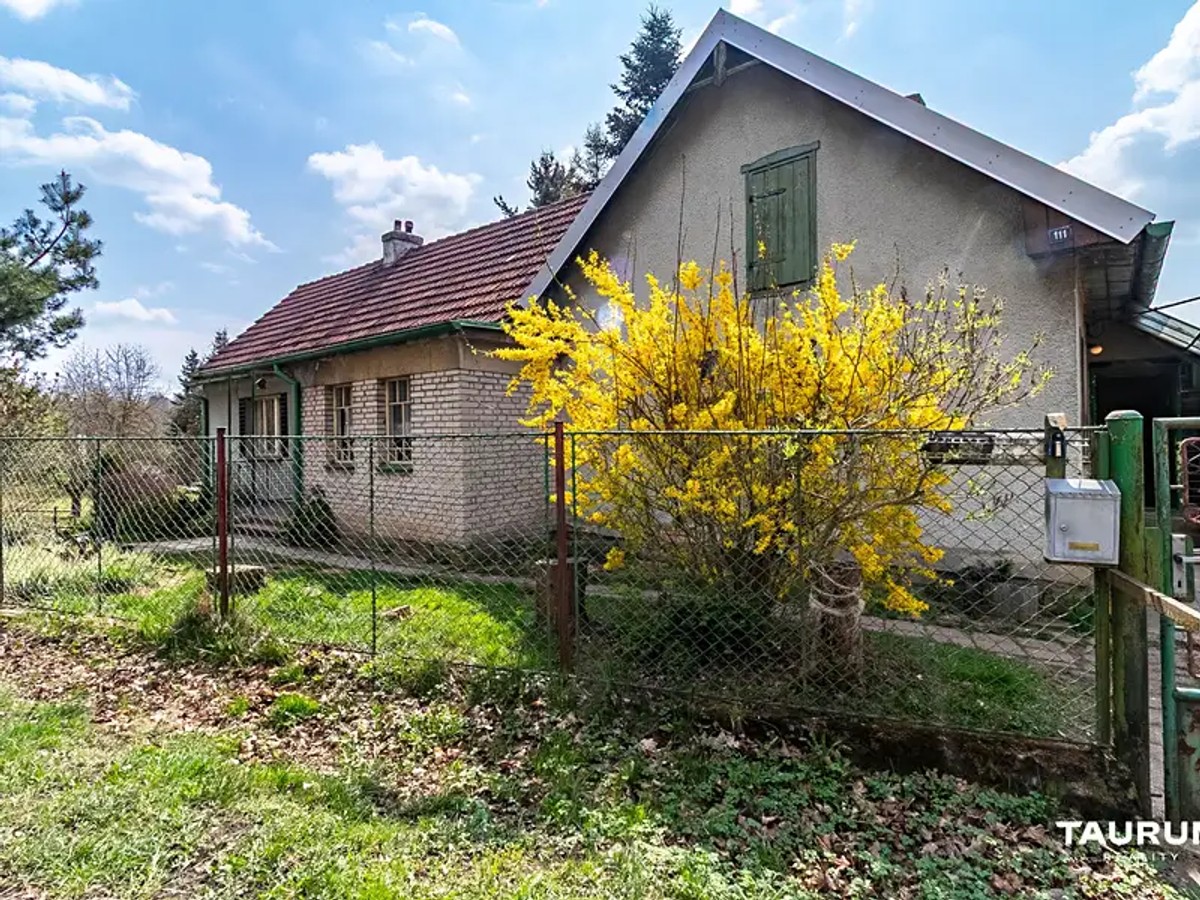 Skořice 111, Skořice – fotografie 2