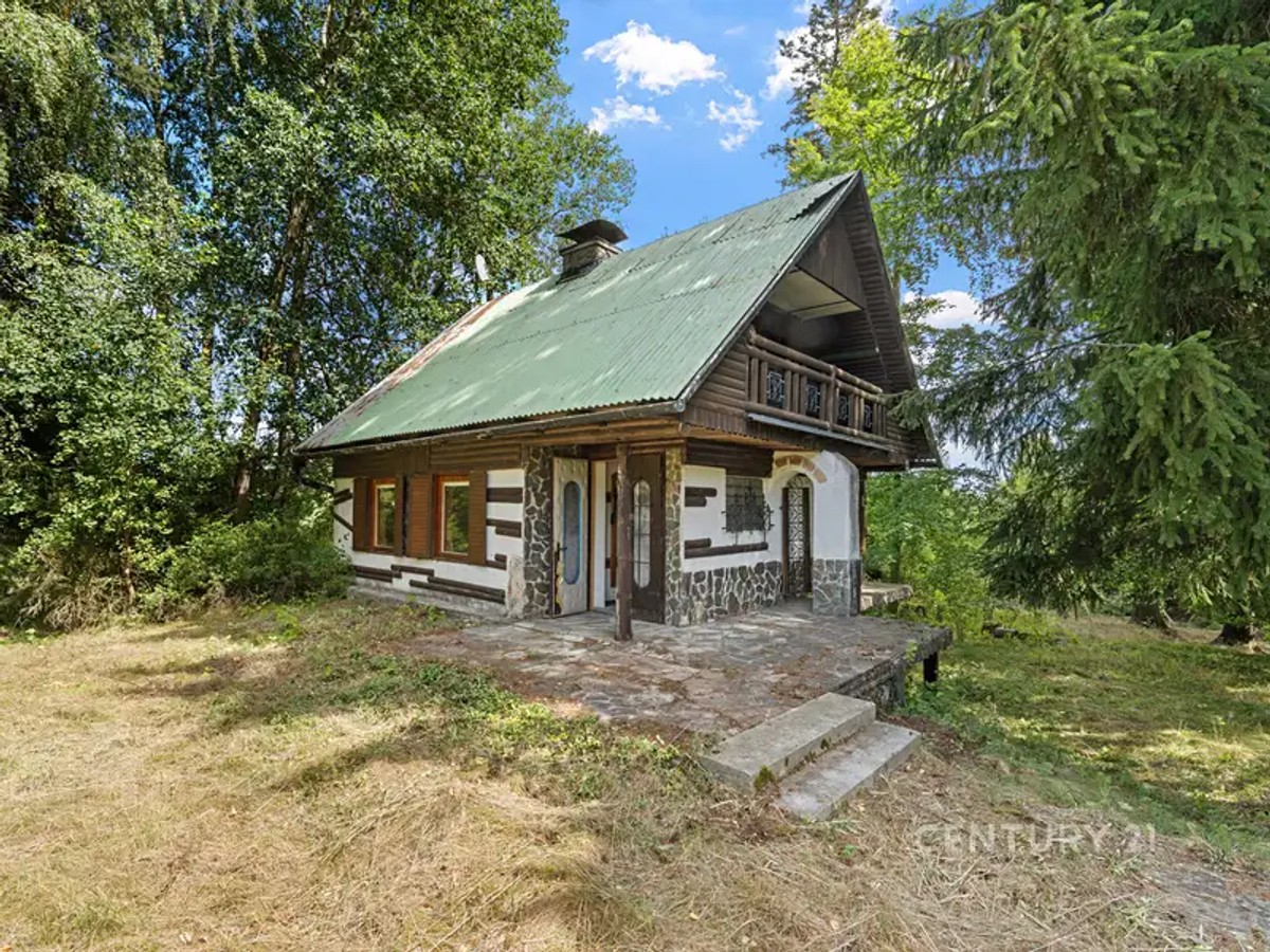 Borová 84, Borová – fotografie 3