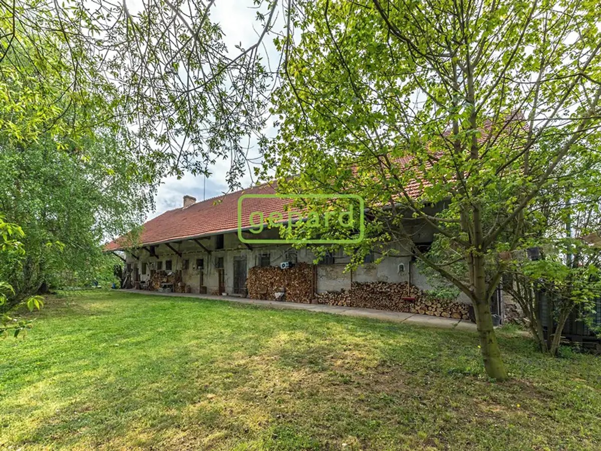 Hořany, okres Nymburk – fotografie 2
