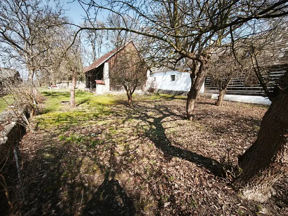 Olešná, okres Beroun – fotografie 2