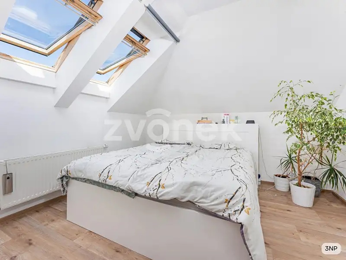 Lešenská, Zlín – fotografie 5