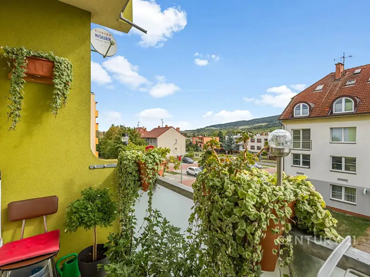 Velká nad Veličkou 155, Velká nad Veličkou – fotografie 5