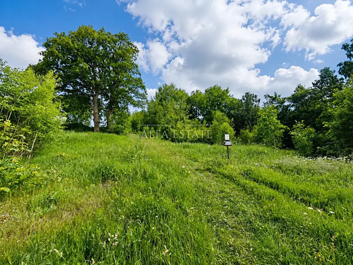 Horní, Oloví – fotografie 5