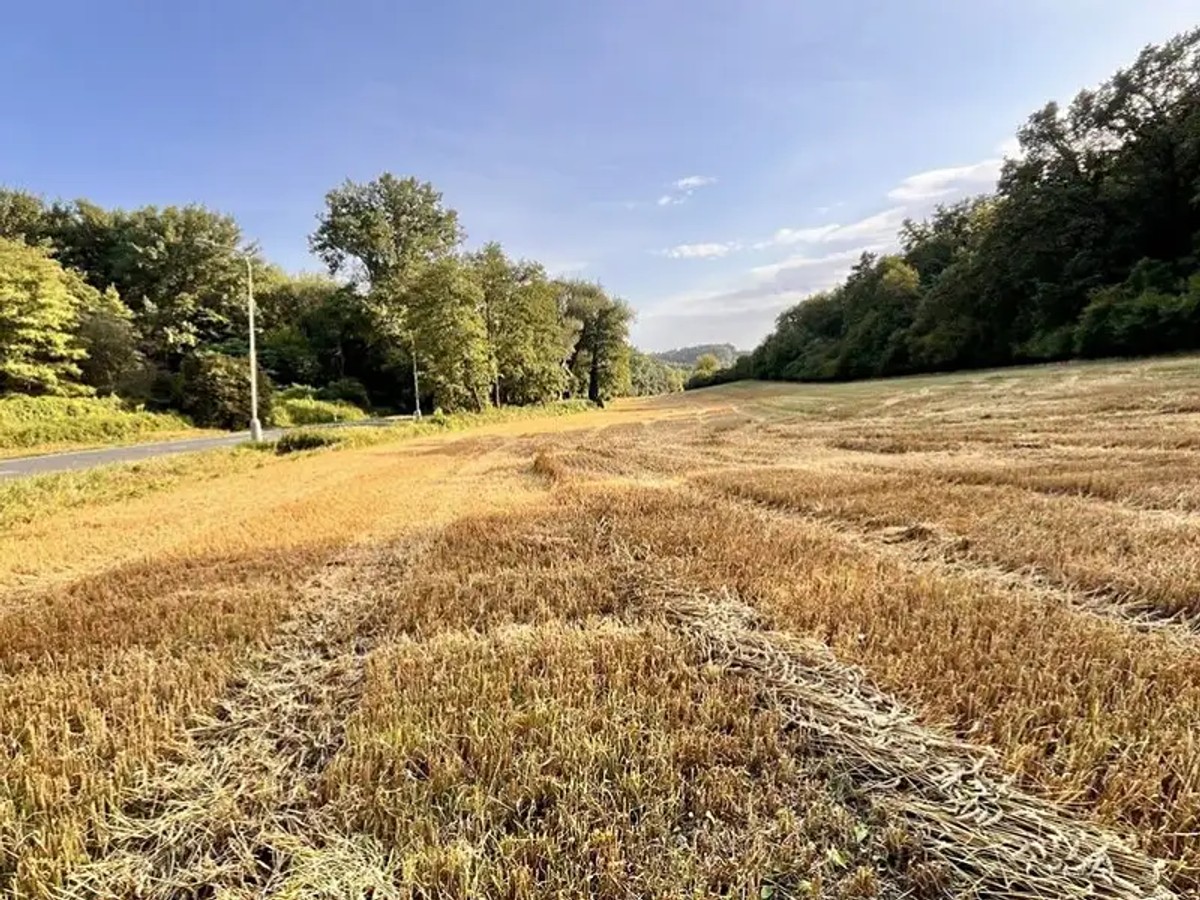 Kralupy nad Vltavou, okres Mělník – fotografie 4