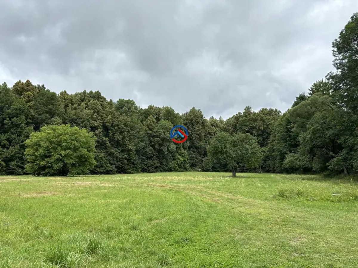 Loučná nad Desnou, okres Šumperk – fotografie 4