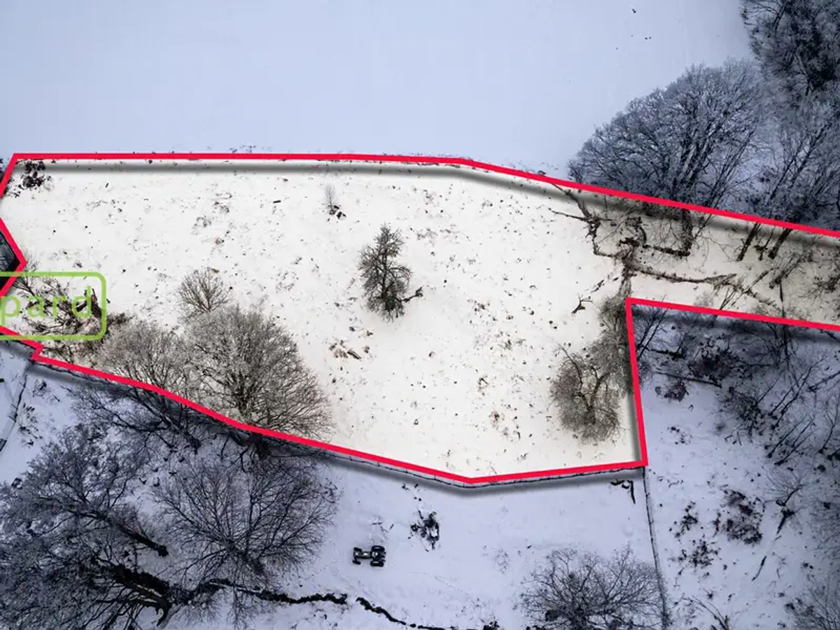 Dolní Nivy, okres Sokolov – fotografie 4