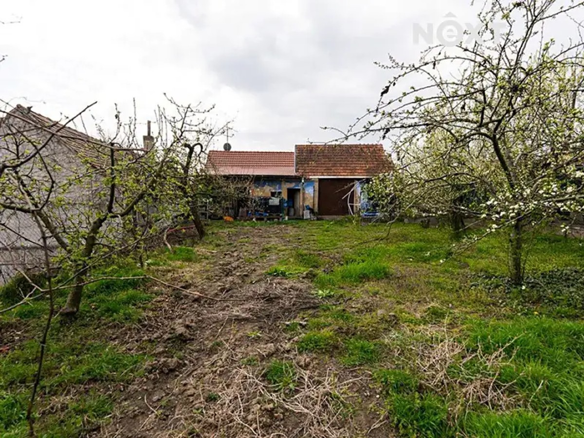 Lanžhot, okres Břeclav – fotografie 4