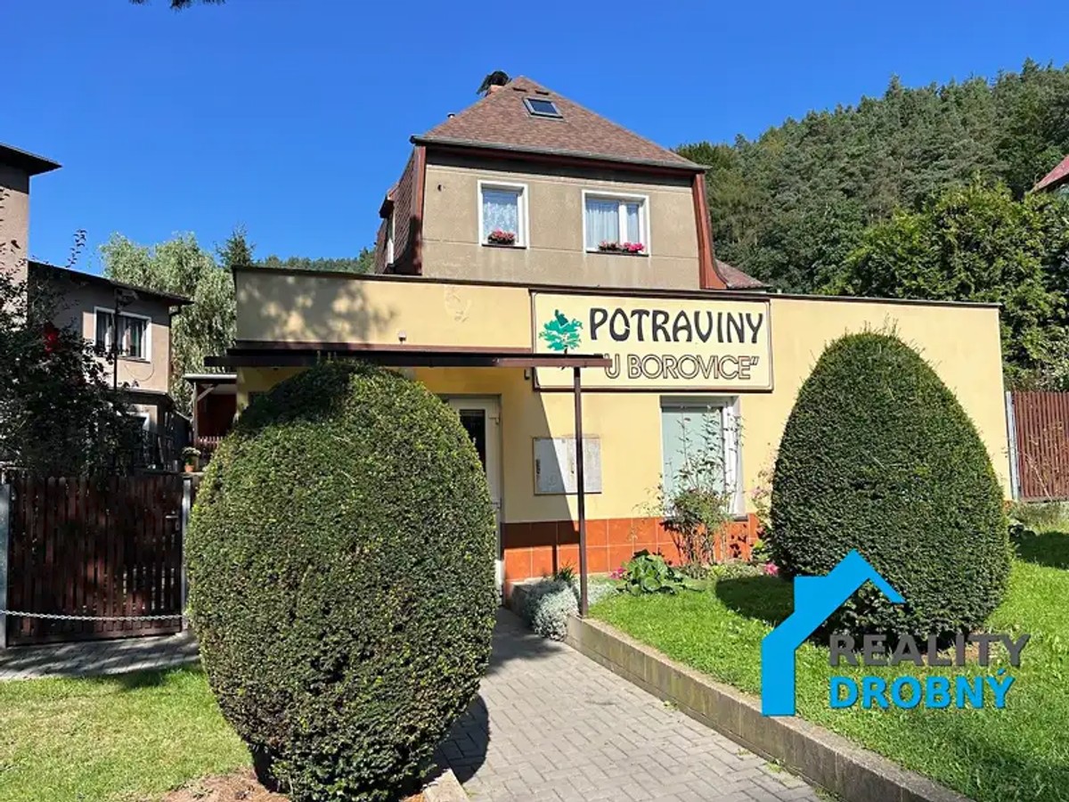 Na Pěšině 175, Děčín