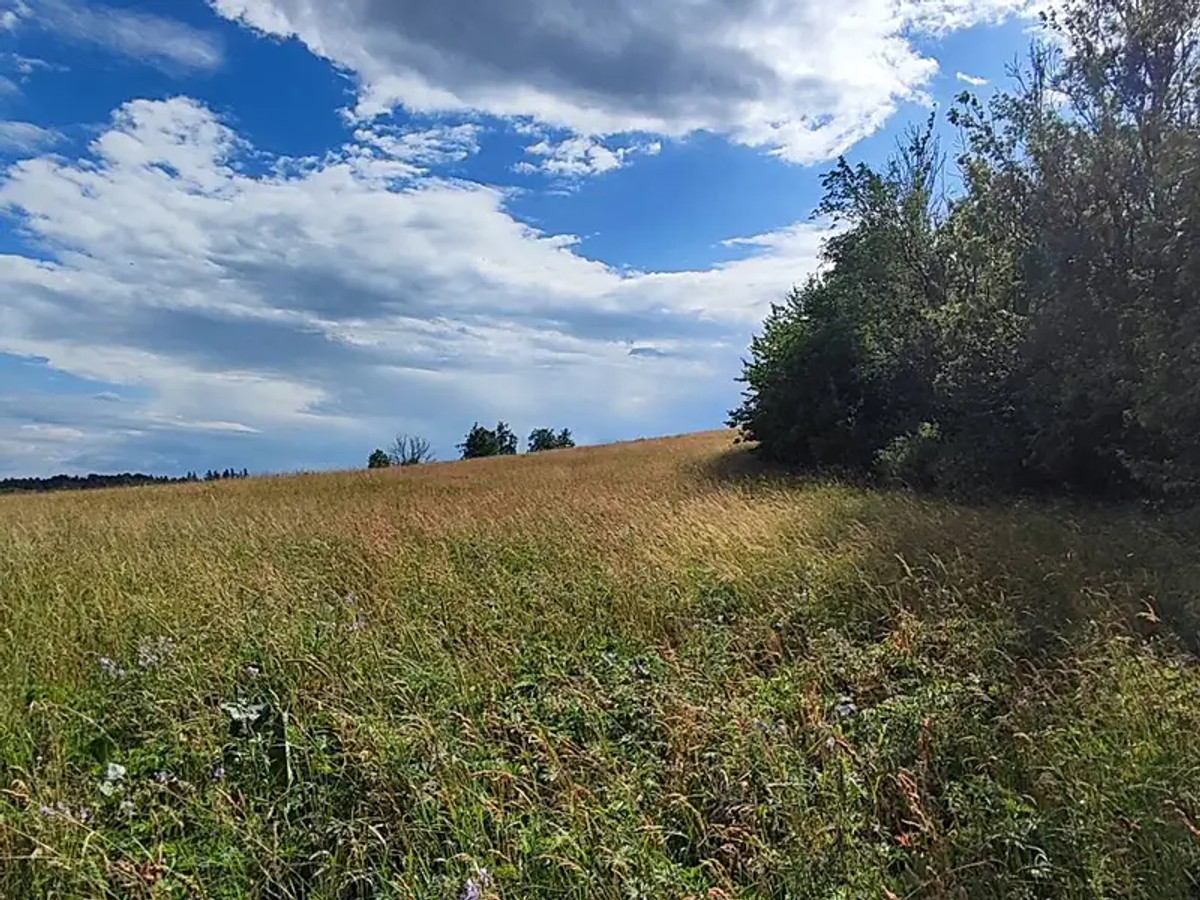 Dolní Lánov, okres Trutnov – fotografie 2