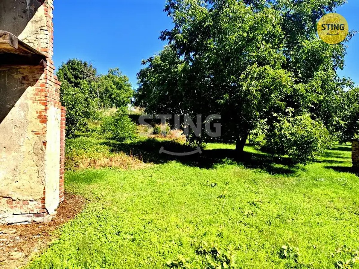 Celní, Osoblaha – fotografie 5