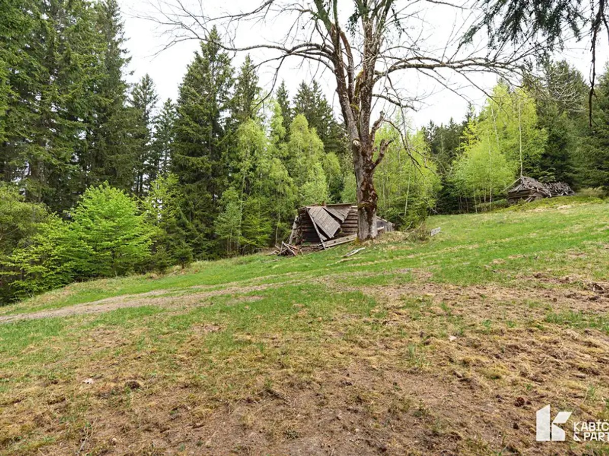 Velké Karlovice, okres Vsetín – fotografie 4