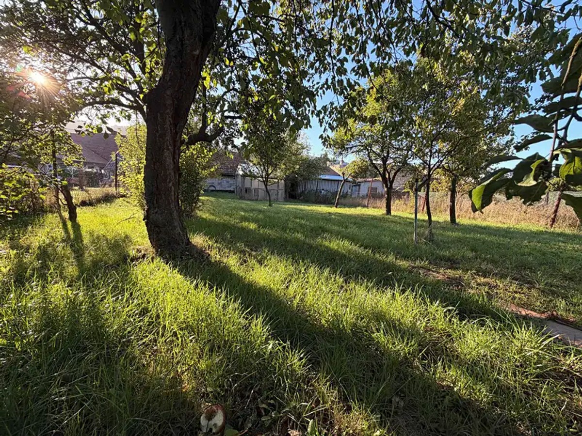 Ostatní