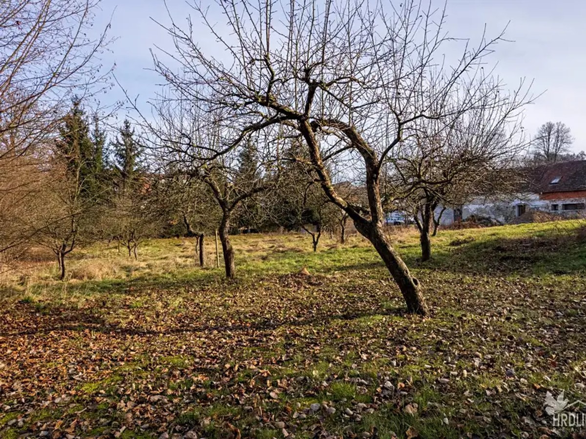 Čejetice, okres Strakonice – fotografie 5