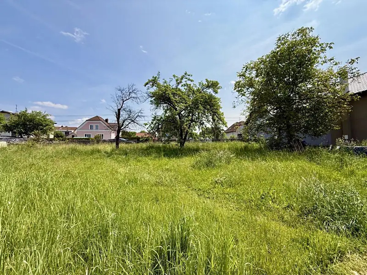 Olšany, okres Klatovy – fotografie 5