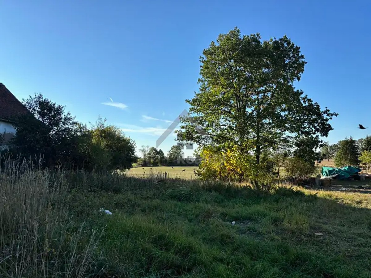 Dubné, okres České Budějovice – fotografie 2