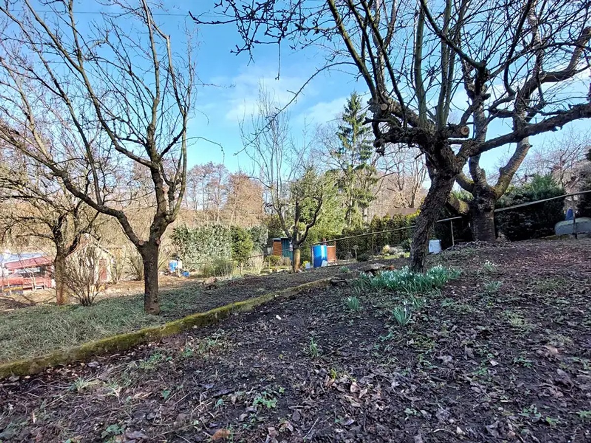 estate image