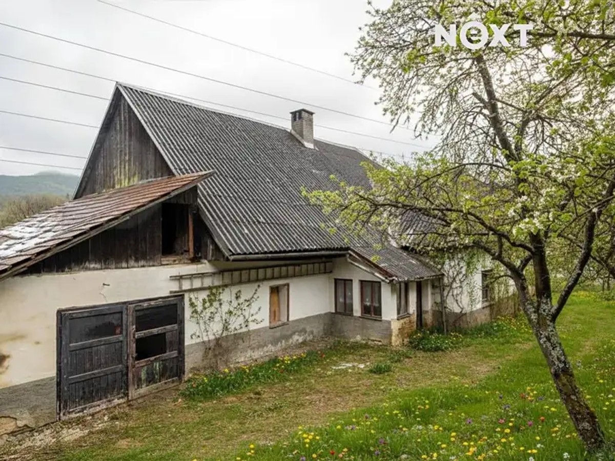 Loučná nad Desnou 116, Loučná nad Desnou – fotografie 3