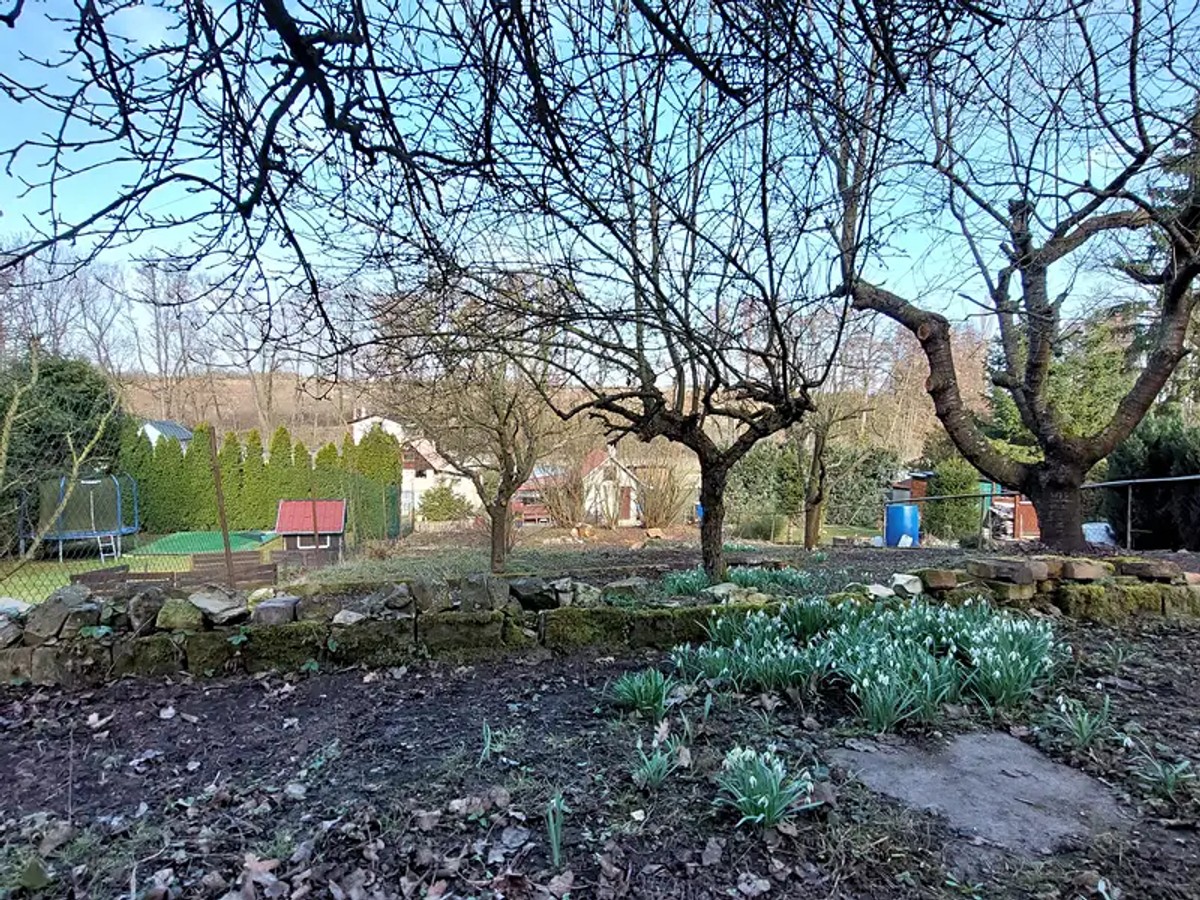 estate image