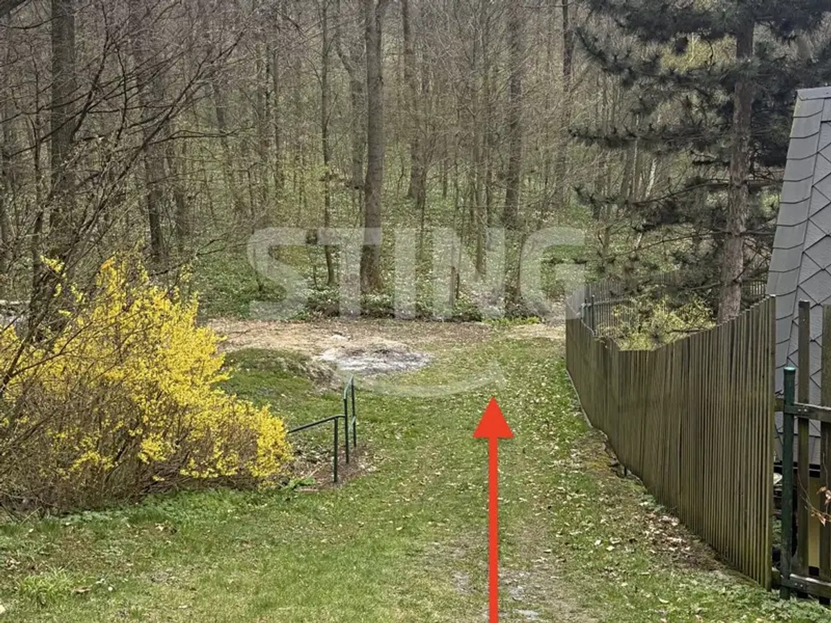 Tvrdkov, okres Bruntál – fotografie 4