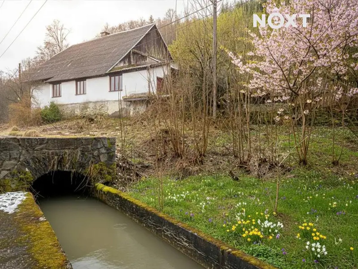 Loučná nad Desnou 116, Loučná nad Desnou – fotografie 4