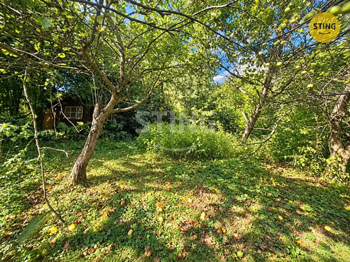 Petřvald, okres Karviná – fotografie 3