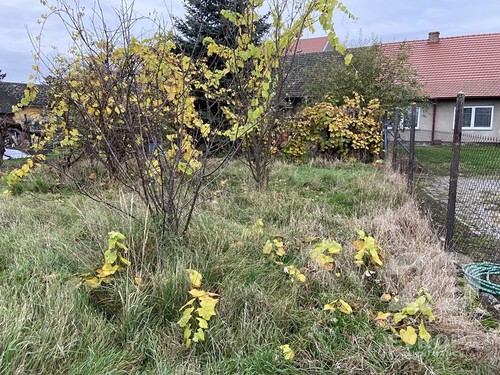 Prodaný dům 162 m², pozemek 478 m²