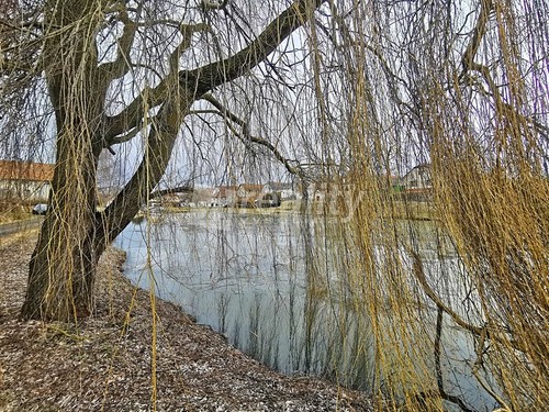 Prodaný dům 210 m², pozemek 801 m²