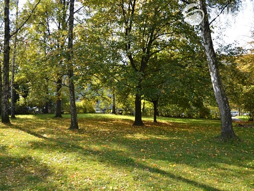Prodaný byt 3+kk 65 m²