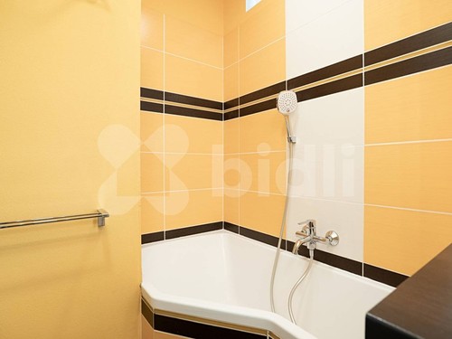 Prodaný byt 3+1 69 m²