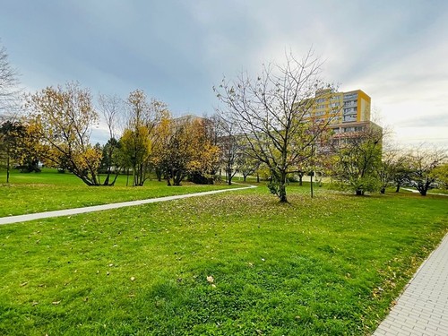 Prodaný byt 1+kk 33 m²