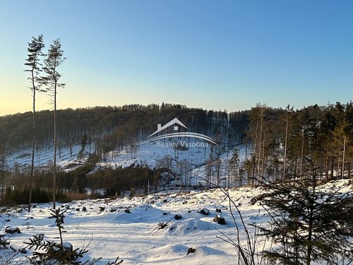 Prodaný dům 200 m², pozemek 755 m²