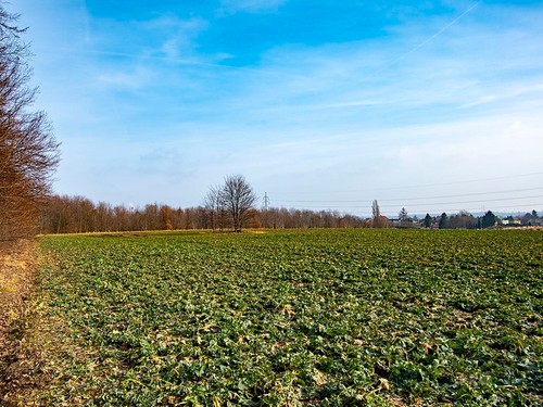 Prodaný byt 3+1 67 m²